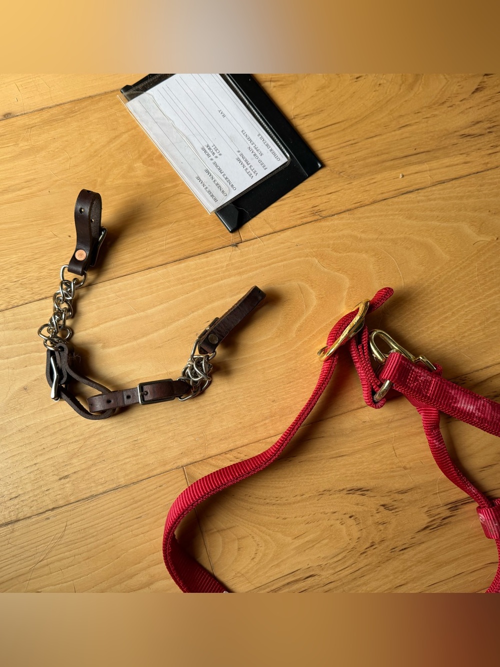 Circle y curb chain , weanling halter with rope